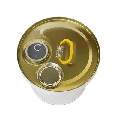 19L 5 گالن فولاد بالت سر تنگ با فلیکس بند بند برای نازک کننده